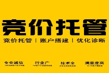百度推广公司案例研究：揭秘电商行业爆款打造秘诀